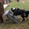 foire-haricots 2011-09-17et18